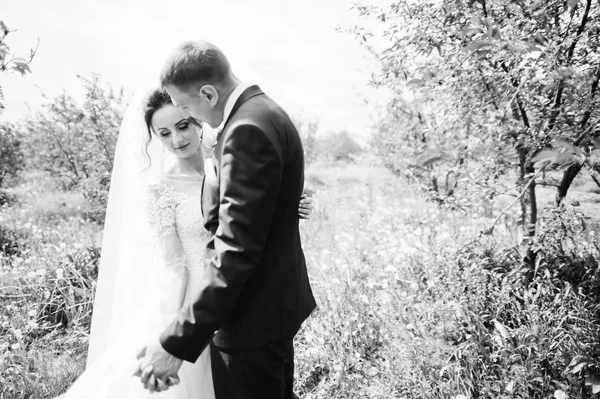 Fabulosa Pareja Boda Teniendo Tiempo Aire Libre Jardín Día Especial — Foto de Stock