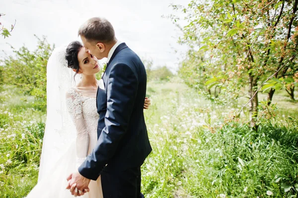 Fabulosa Pareja Boda Teniendo Tiempo Aire Libre Jardín Día Especial —  Fotos de Stock