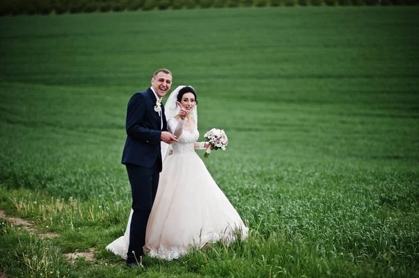 Mooie Romantische Bruidspaar Lopen Het Gebied Van Hun Speciale Dag — Stockfoto