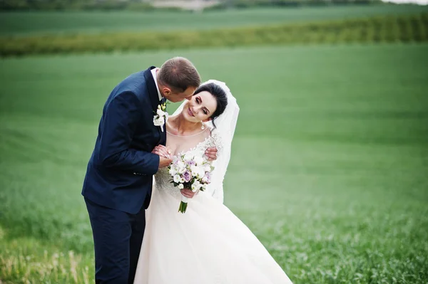 Beuatiful Romantic Wedding Couple Walking Field Special Day — Stock Photo, Image