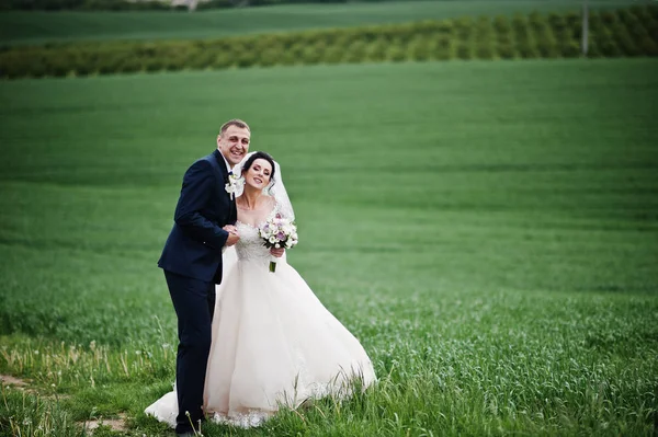 Hermosa Pareja Romántica Boda Caminando Campo Día Especial —  Fotos de Stock