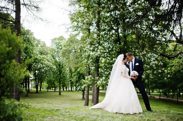 Gorgeous Happy Newly Married Couple Standing Green Park Wedding Day — Stock Photo, Image