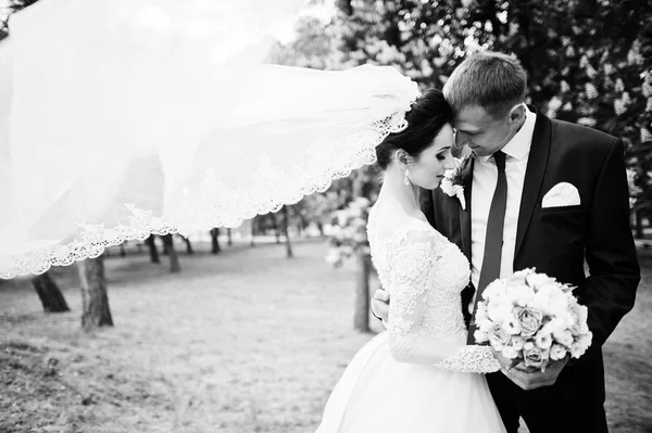 一对美妙的新婚夫妇拥抱在公园里 新娘面纱 黑白照片 — 图库照片