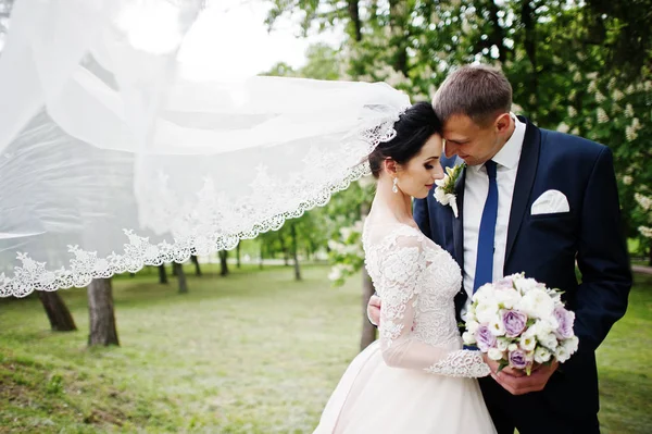 Fabulous Wedding Couple Hugging Park Bridal Veil — Stock Photo, Image