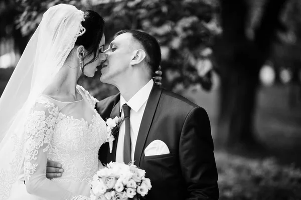 座っていると公園でキス結婚式のカップルのクローズ アップ写真 黒と白の写真 — ストック写真