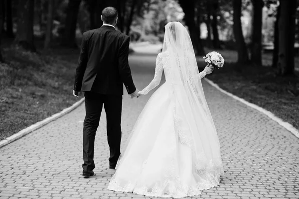 Bruidspaar Wandelen Genieten Van Zichzelf Het Park Een Mooie Dag — Stockfoto