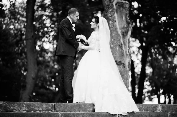 Lindo Feliz Casal Recém Casado Parque Verde Seu Dia Casamento — Fotografia de Stock