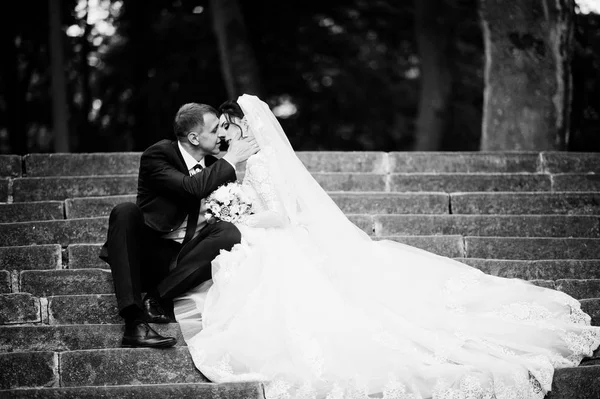 Pareja Recién Casada Sentada Parque Soleado Día Boda Verano Foto — Foto de Stock