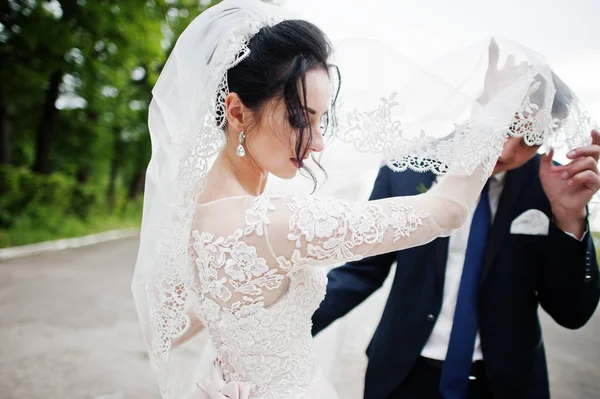 Mesés Esküvői Pár Átölelve Parkban Menyasszonyi Fátyol — Stock Fotó