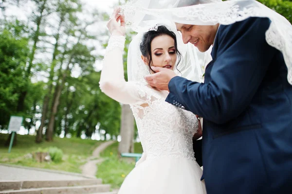 Fabulosa Pareja Novios Abrazándose Parque Velo Nupcial —  Fotos de Stock