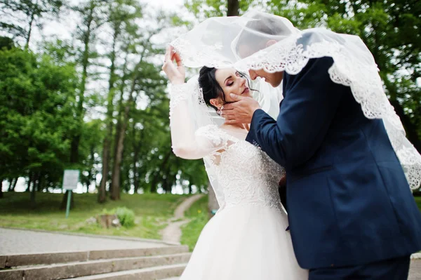 Потрясающая Свадебная Пара Обнимается Парке Свадебная Вуаль — стоковое фото