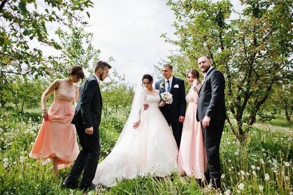 Padrinhos Com Damas Honra Casal Casamento Posando Jardim Livre — Fotografia de Stock