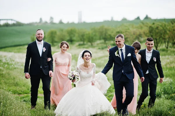 Groomsmen Bridesmaids Wedding Couple Walking Flower Field — Stock Photo, Image
