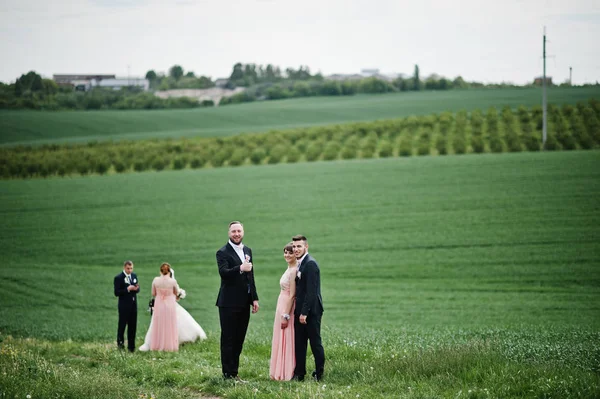 Друзья Жениха Подружками Невесты Свадебная Пара Гуляющие Цветочному Полю — стоковое фото