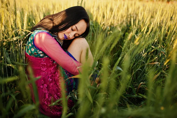 Menina Indiana Macia Saree Com Lábios Violetas Compõem Posou Campo — Fotografia de Stock