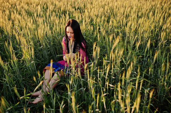 Menina Indiana Macia Saree Com Lábios Violetas Compõem Posou Campo — Fotografia de Stock