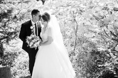 Orman veya park birbirlerinin şirket zevk genç romantik düğün çifti.