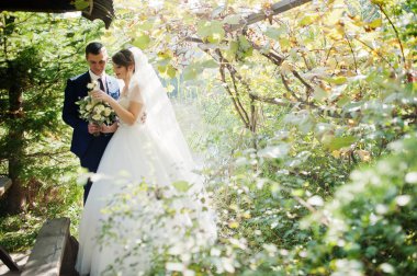 Orman veya park birbirlerinin şirket zevk genç romantik düğün çifti.