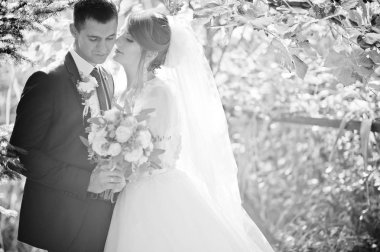 Orman veya park birbirlerinin şirket zevk genç romantik düğün çifti.