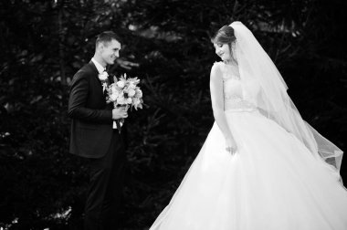 Orman veya park birbirlerinin şirket zevk genç romantik düğün çifti.