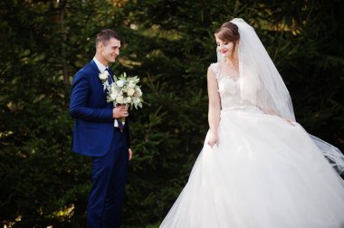 Orman veya park birbirlerinin şirket zevk genç romantik düğün çifti.