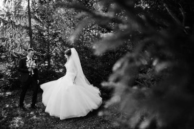 Orman veya park birbirlerinin şirket zevk genç romantik düğün çifti.