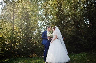 Orman veya park birbirlerinin şirket zevk genç romantik düğün çifti.