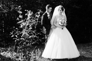 Orman veya park birbirlerinin şirket zevk genç romantik düğün çifti.