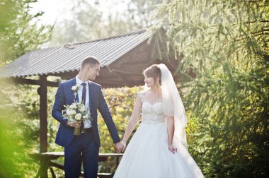 Mutlu yeni evli çift açık havada bahçe veya park ahşap gazebo yanındaki düğün gününde poz.