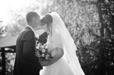 Mutlu yeni evli çift açık havada bahçe veya park ahşap gazebo yanındaki düğün gününde poz.