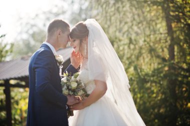 Mutlu yeni evli çift açık havada bahçe veya park ahşap gazebo yanındaki düğün gününde poz.