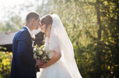 Mutlu yeni evli çift açık havada bahçe veya park ahşap gazebo yanındaki düğün gününde poz.