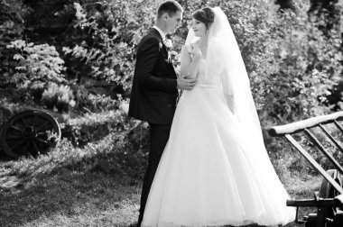 Genç yeni evli çift arabası dışarıda parkta yanında poz.