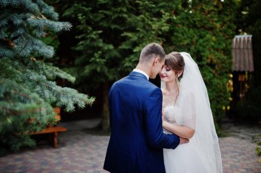 İki genç güzel düğün yürüyor ve pitoresk bölge poz.