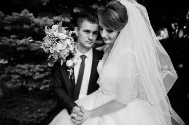 Ahşap çardak yanındaki açık havada oturup romantik düğün çifti.