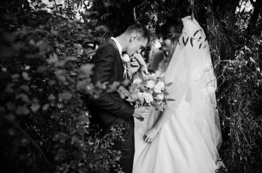 Yakışıklı damat gelini orman veya park kontrolden öpüşme.