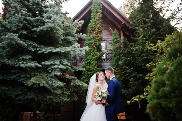 Young Beautiful Wedding Couple Walking Posing Picturesque Territory — Stock Photo, Image