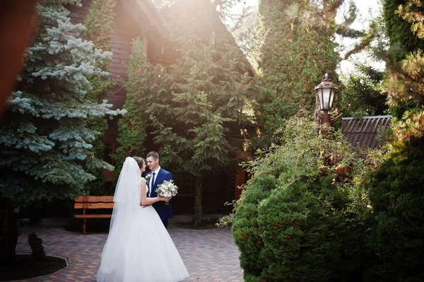 Young Beautiful Wedding Couple Walking Posing Picturesque Territory — Stock Photo, Image