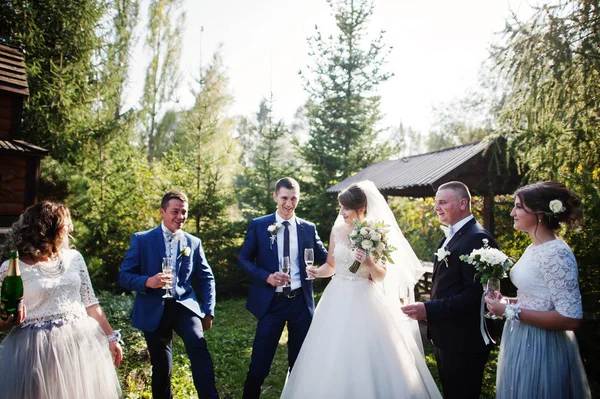 Wedding Couple Groomsmen Bridesmaids Drinking Champagne Outdoors Park Garden — Stock Photo, Image