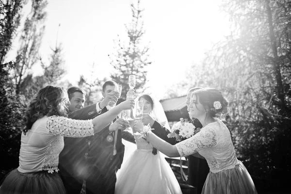 Casamento Casal Padrinhos Com Damas Honra Bebendo Champanhe Livre Parque — Fotografia de Stock