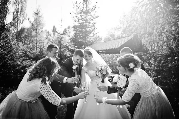 Bruidspaar Groomsmen Met Bruidsmeisjes Drinken Champagne Buiten Het Park Tuin — Stockfoto