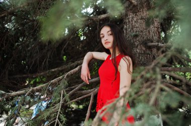 Kırmızı elbiseli Genç kız güneşli gün açık poz verdi.