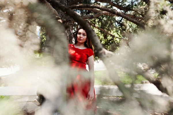 Kırmızı Elbiseli Genç Kız Güneşli Gün Açık Poz Verdi — Stok fotoğraf