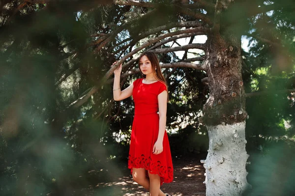 Adolescente Chica Vestido Rojo Posó Aire Libre Día Soleado — Foto de Stock