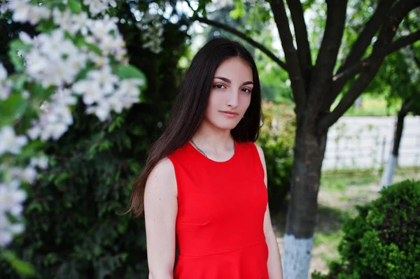 Menina Adolescente Vestido Vermelho Posou Livre Dia Ensolarado — Fotografia de Stock