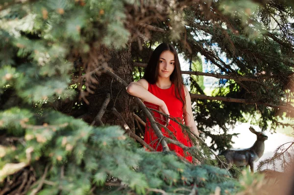 Adolescente Chica Vestido Rojo Posó Aire Libre Día Soleado —  Fotos de Stock