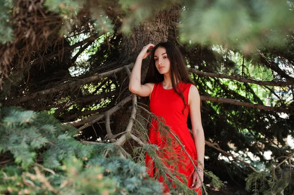 阳光明媚的日子 穿着红色连衣裙的少女穿上户外衣服 — 图库照片