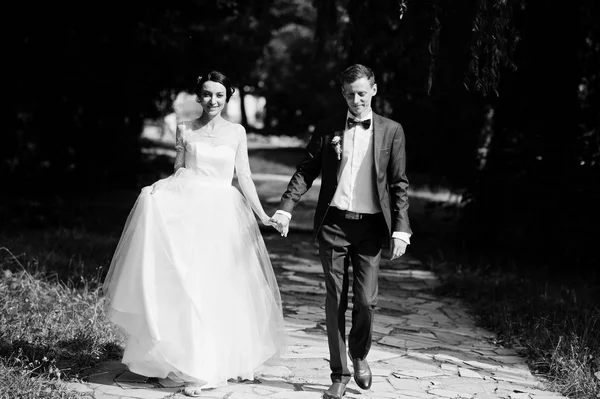 华丽的新婚夫妇牵着手在公园里散步 在阳光明媚的日子 黑白照片 — 图库照片