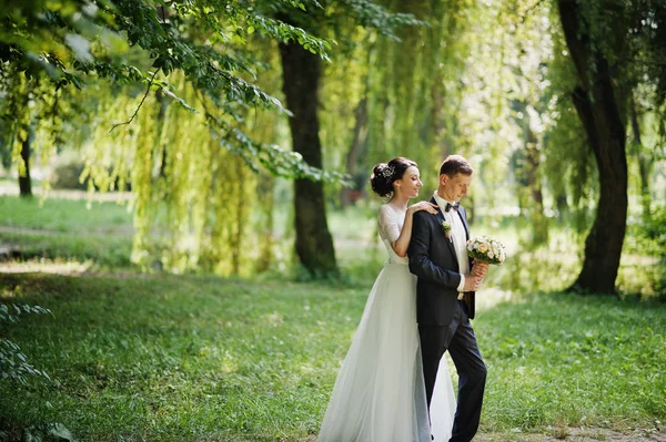 Muhteşem düğün kaç poz ve bir güzel yaz günü parkta sarılma.