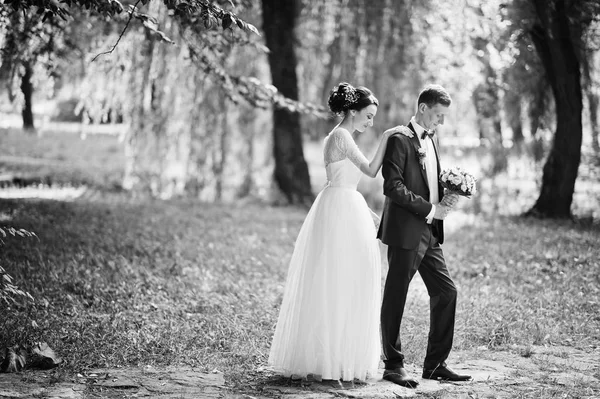 Fabulosa Pareja Boda Posando Abrazándose Parque Hermoso Día Verano Foto —  Fotos de Stock